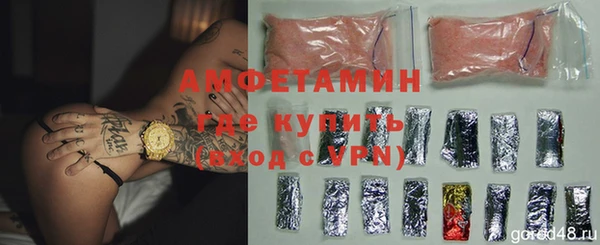 гидра Арсеньев