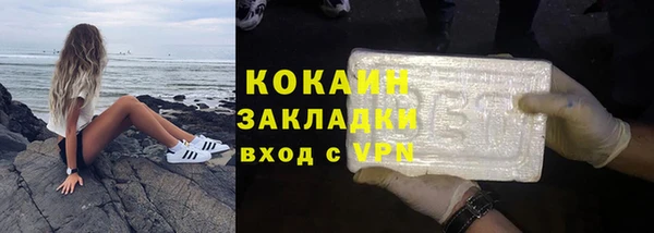 гидра Арсеньев