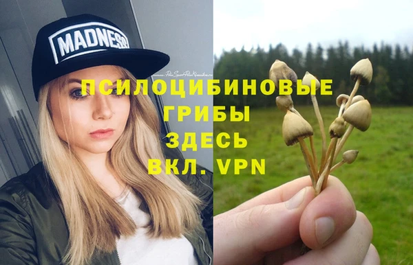 MDMA Premium VHQ Армянск