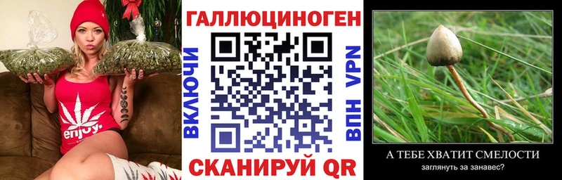 mega ССЫЛКА Похвистнево Галлюциногенные грибы мицелий
